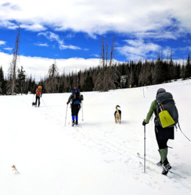 Ski touring on the Continental Divide Trail with Shuttle Taos.