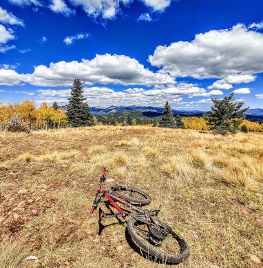 Mountain bike laying a field on the South Boundary Trail.